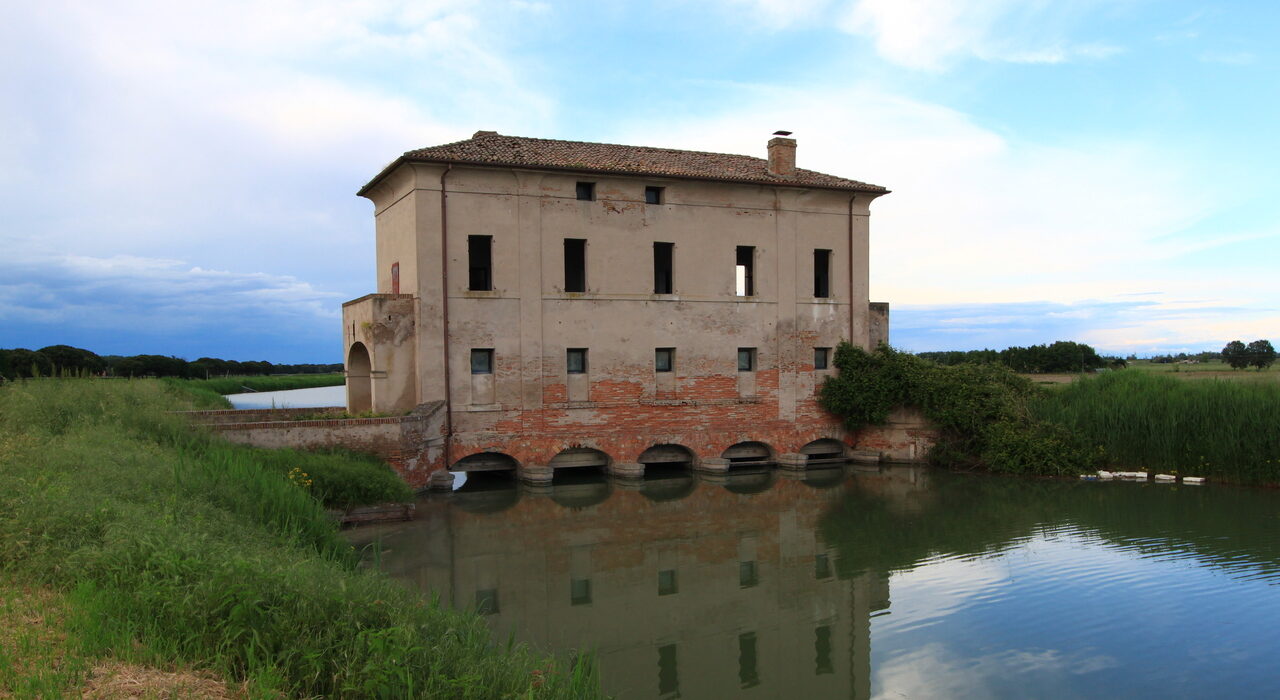 Torre Palù: presidio solitario nel cuore del Delta